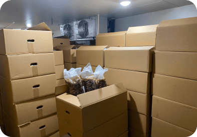 育成出荷準備室